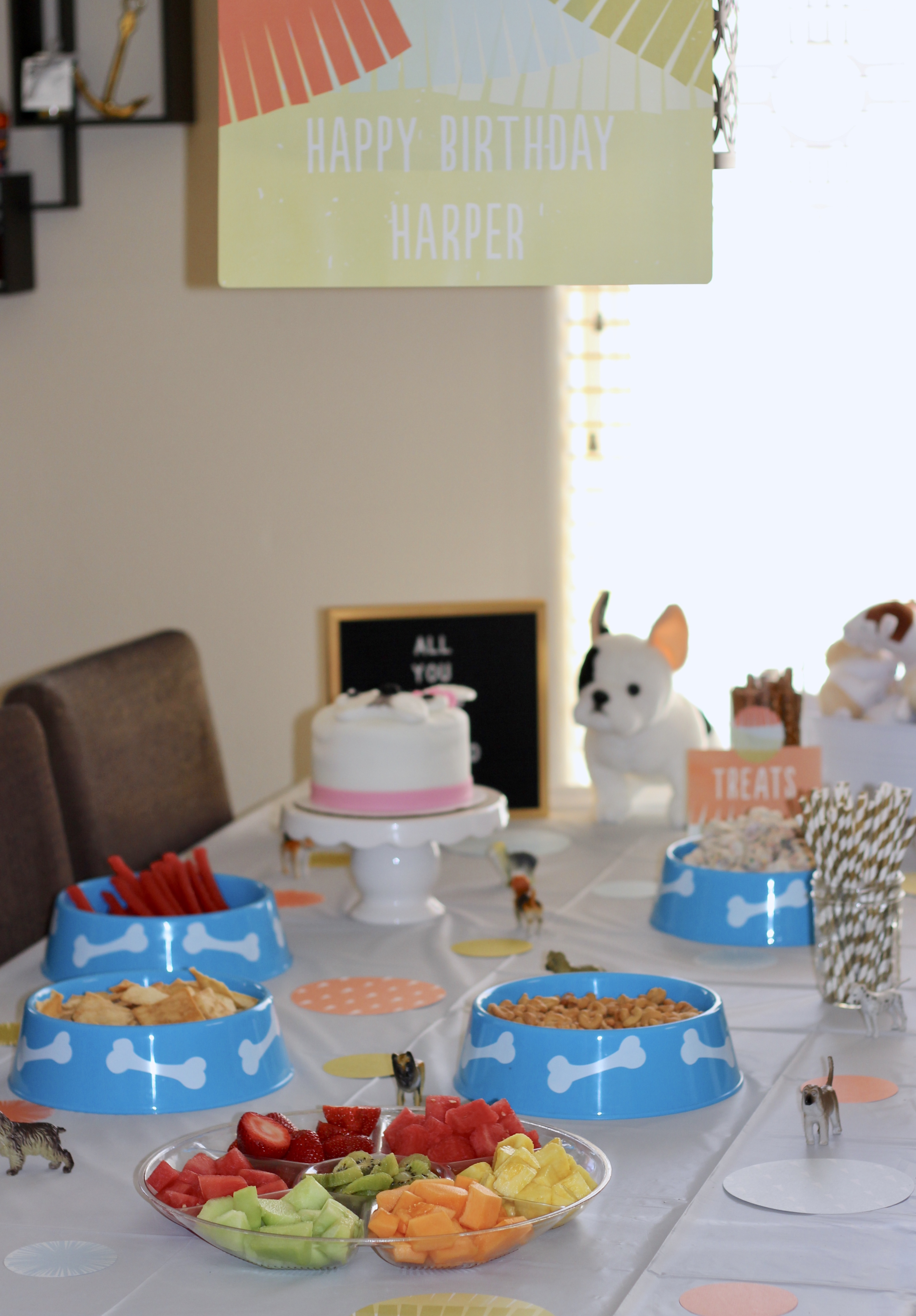 puppy themed birthday party for kids