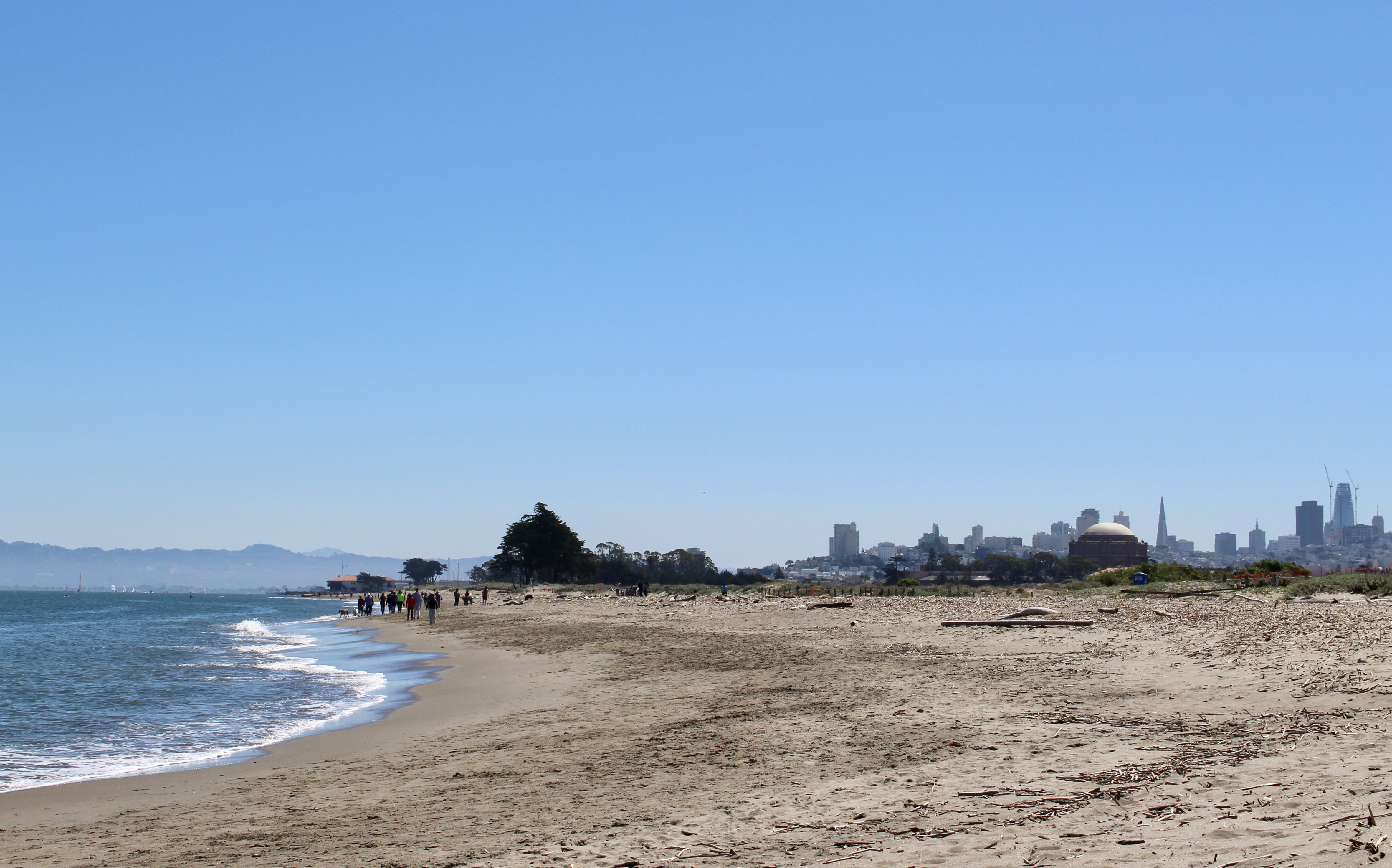 chrissy field in san francisco