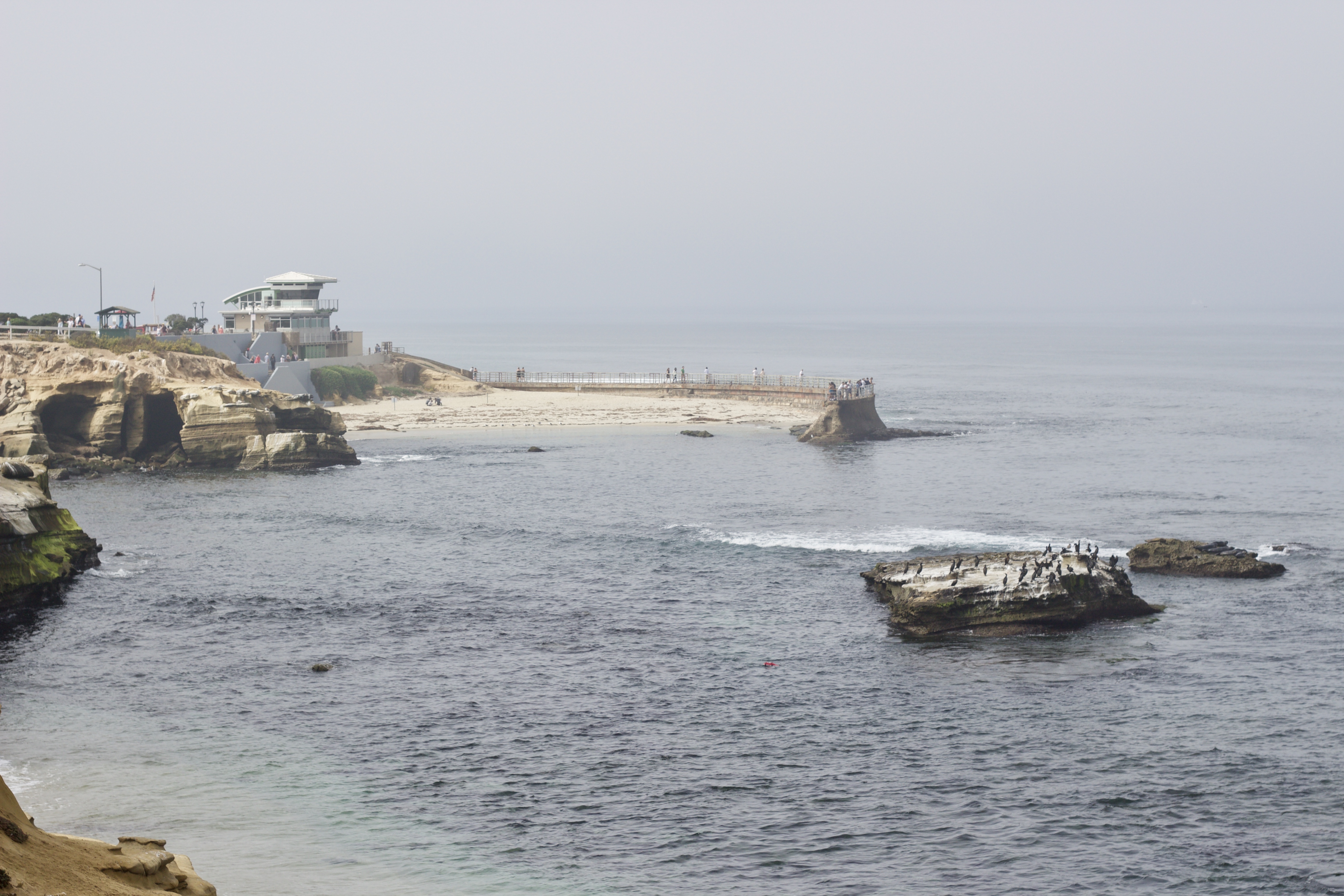 seal beach la jolla