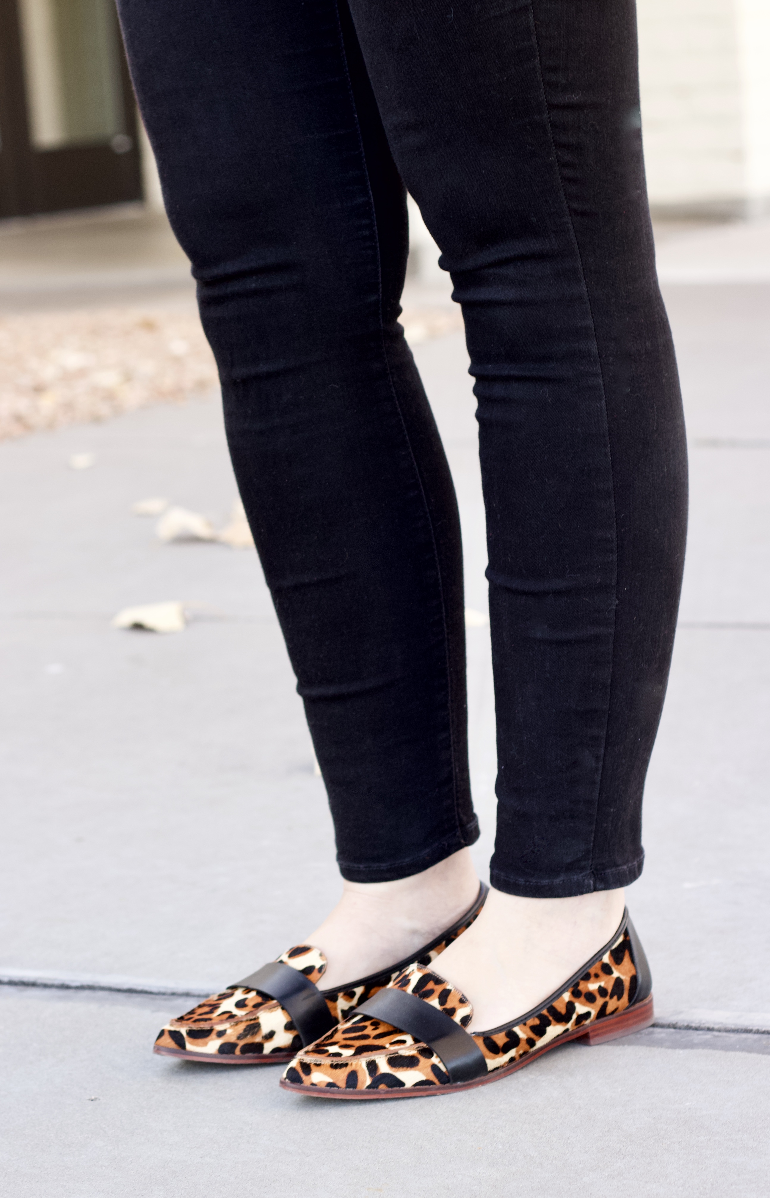 sole society leopard loafers 