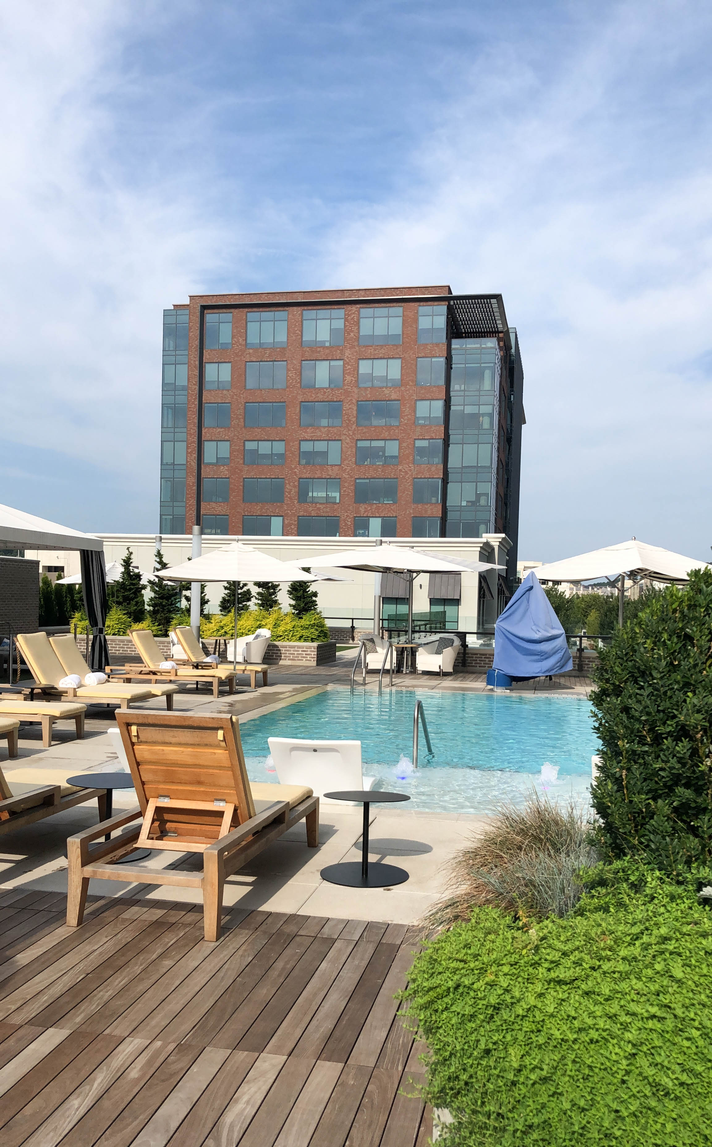 pool at hotel Avalon #atlanta #hotelavalon #pool