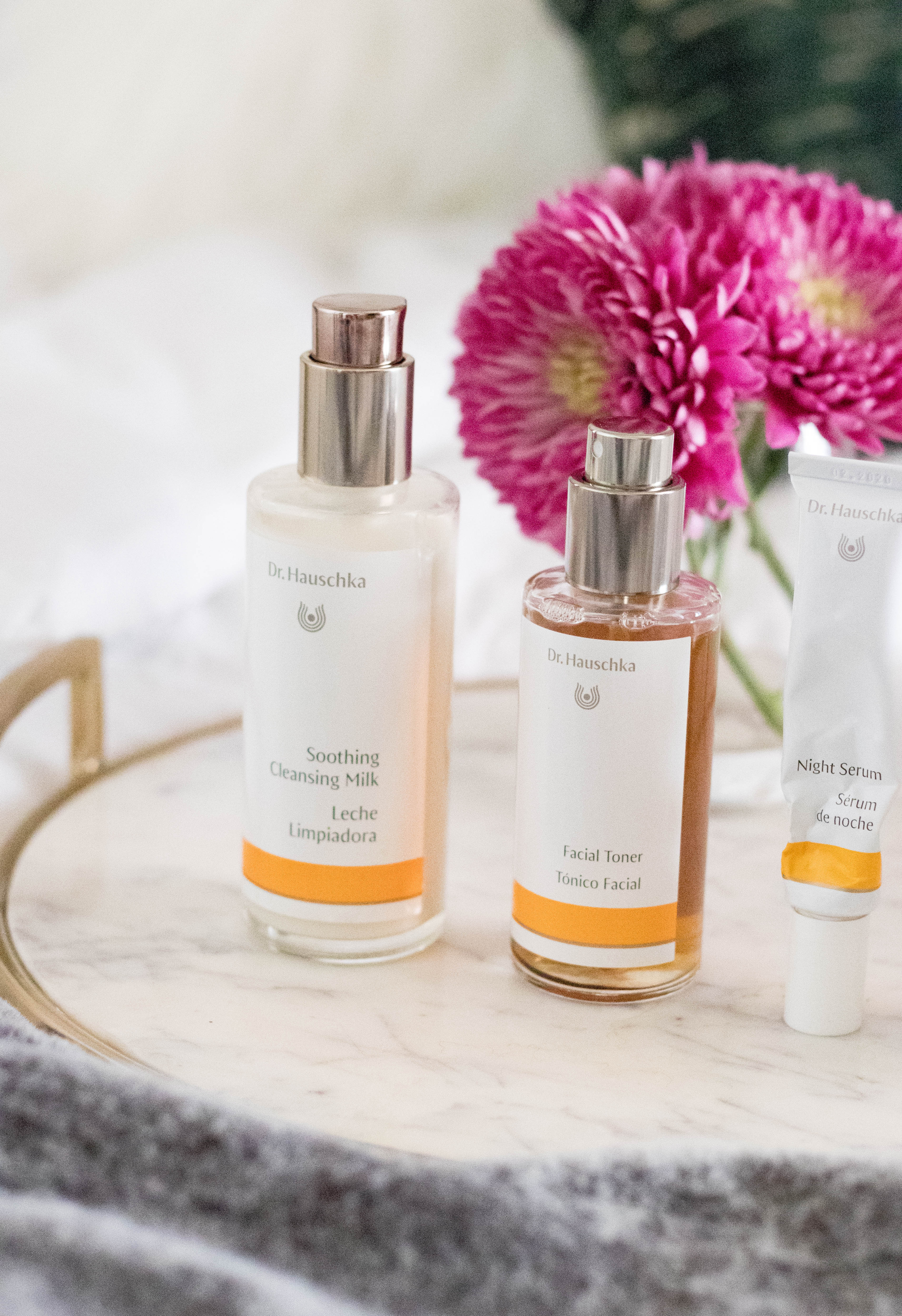 dr hauschka skincare routine #cleanbeauty #skincare #naturalskincare