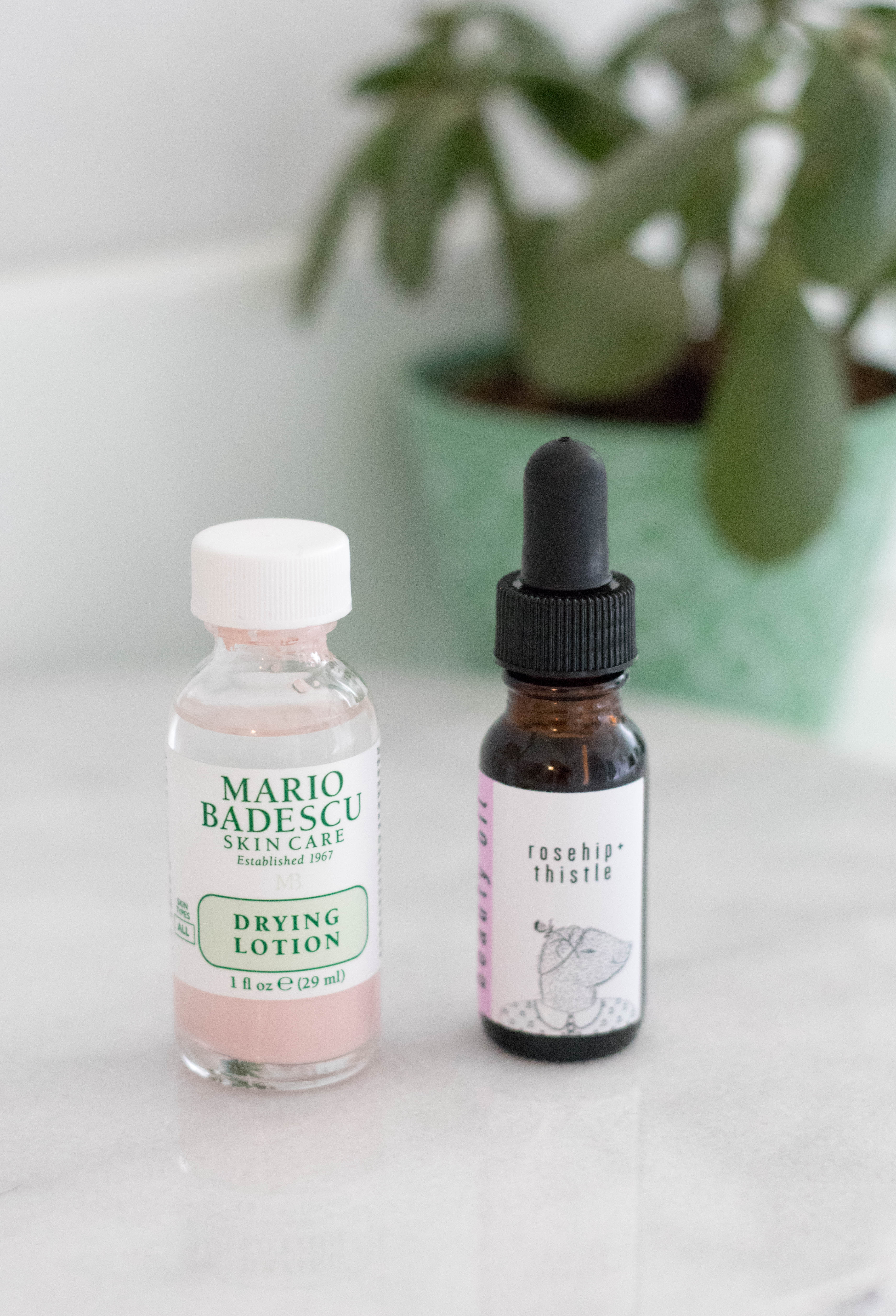 december beauty hits #drylandwilds #cleanbeauty #mariobadescu