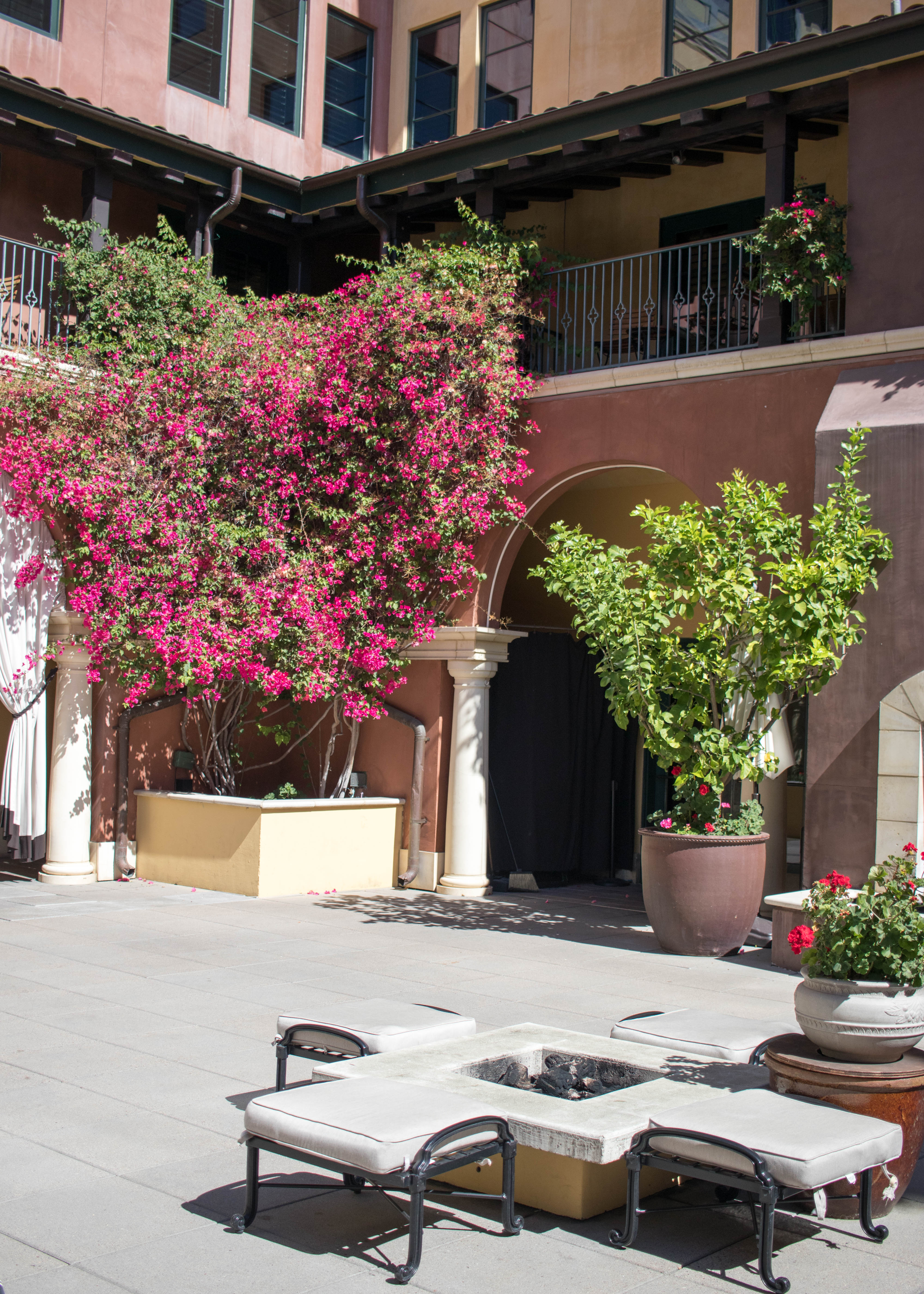 our trip to San Jose California hotel Valencia #sanjose #visitcalifornia #travelguide