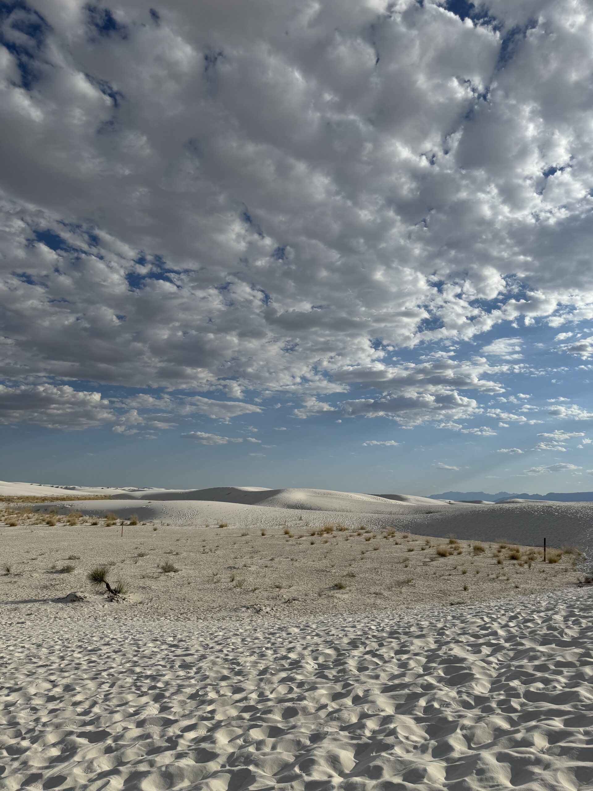 White Sands National Park trip #whitesands #visitnewmexico