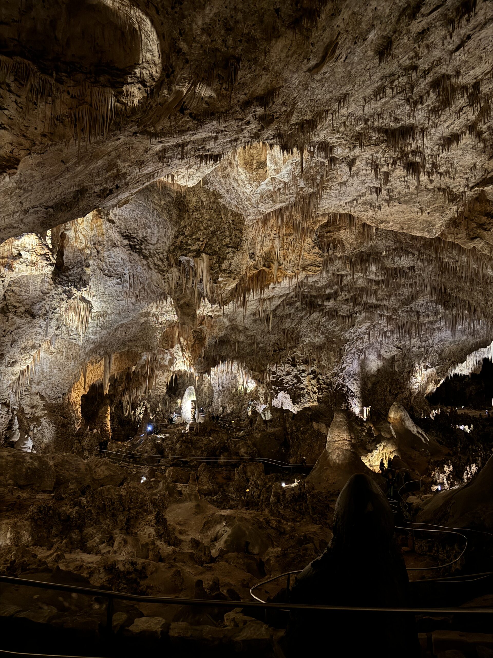 Carlsbad Caverns National Park #carlsbadcaverns #nationalparktrip