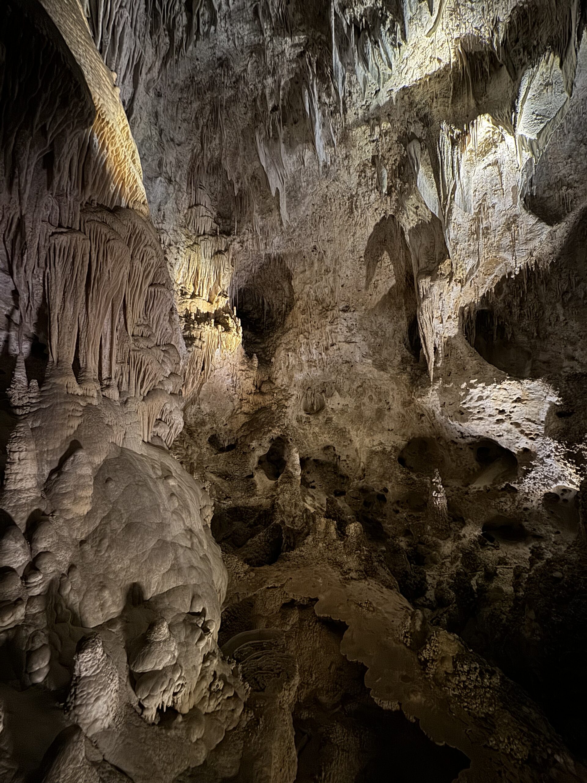 New Mexico's national parks, Carlsbad Caverns trip