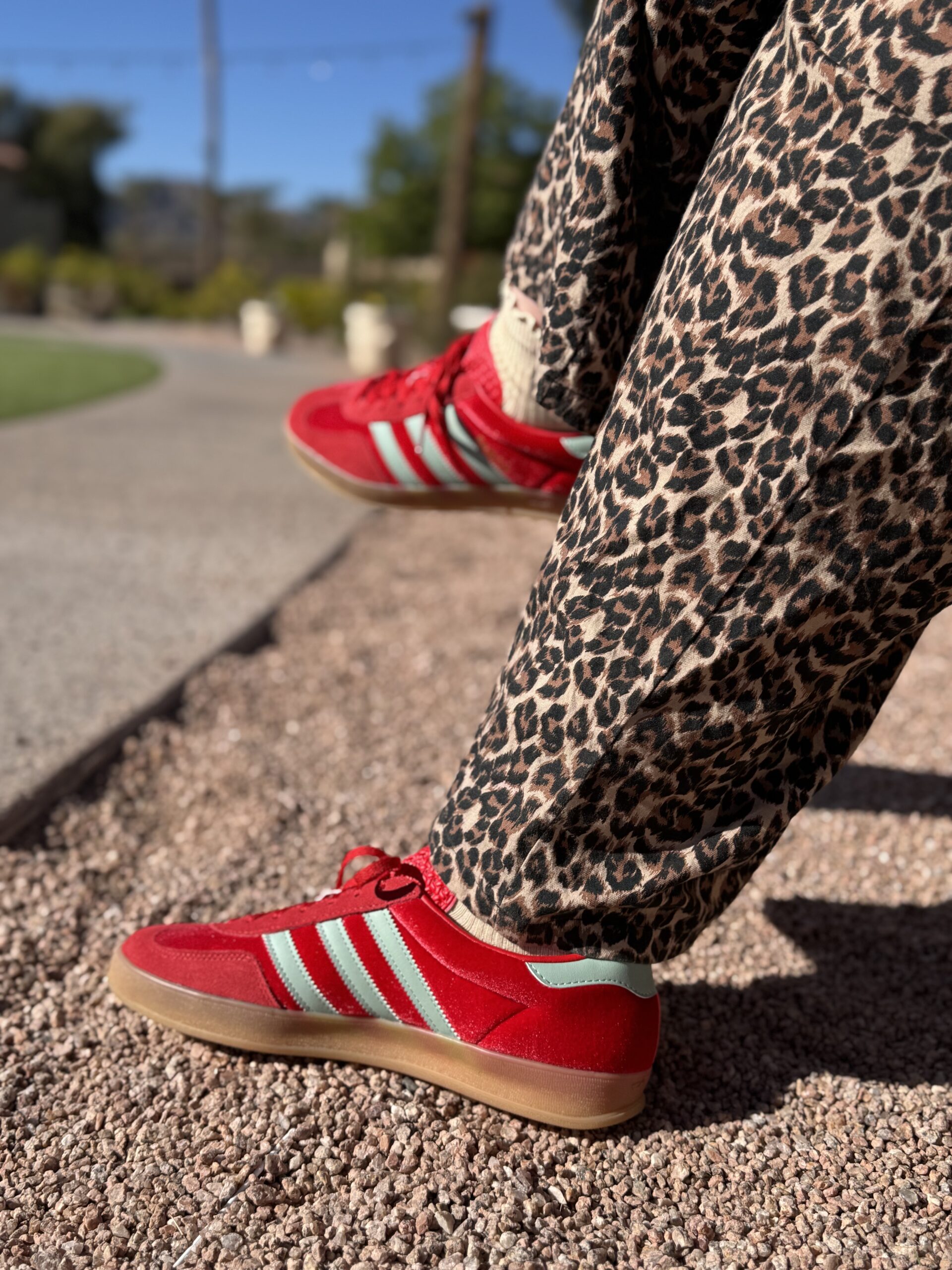 red adidas gazelle and leopard pants outfit #adidasgazelle #leopardpants